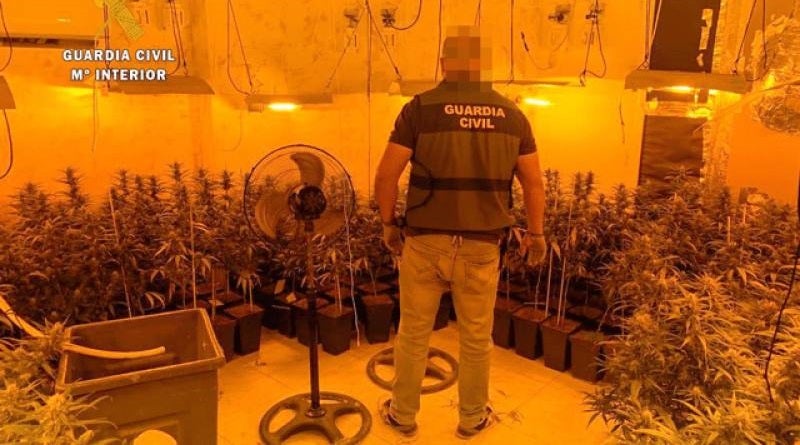 Nueva actuación de la Guardia Civil de Miajadas en la operación Ilena 