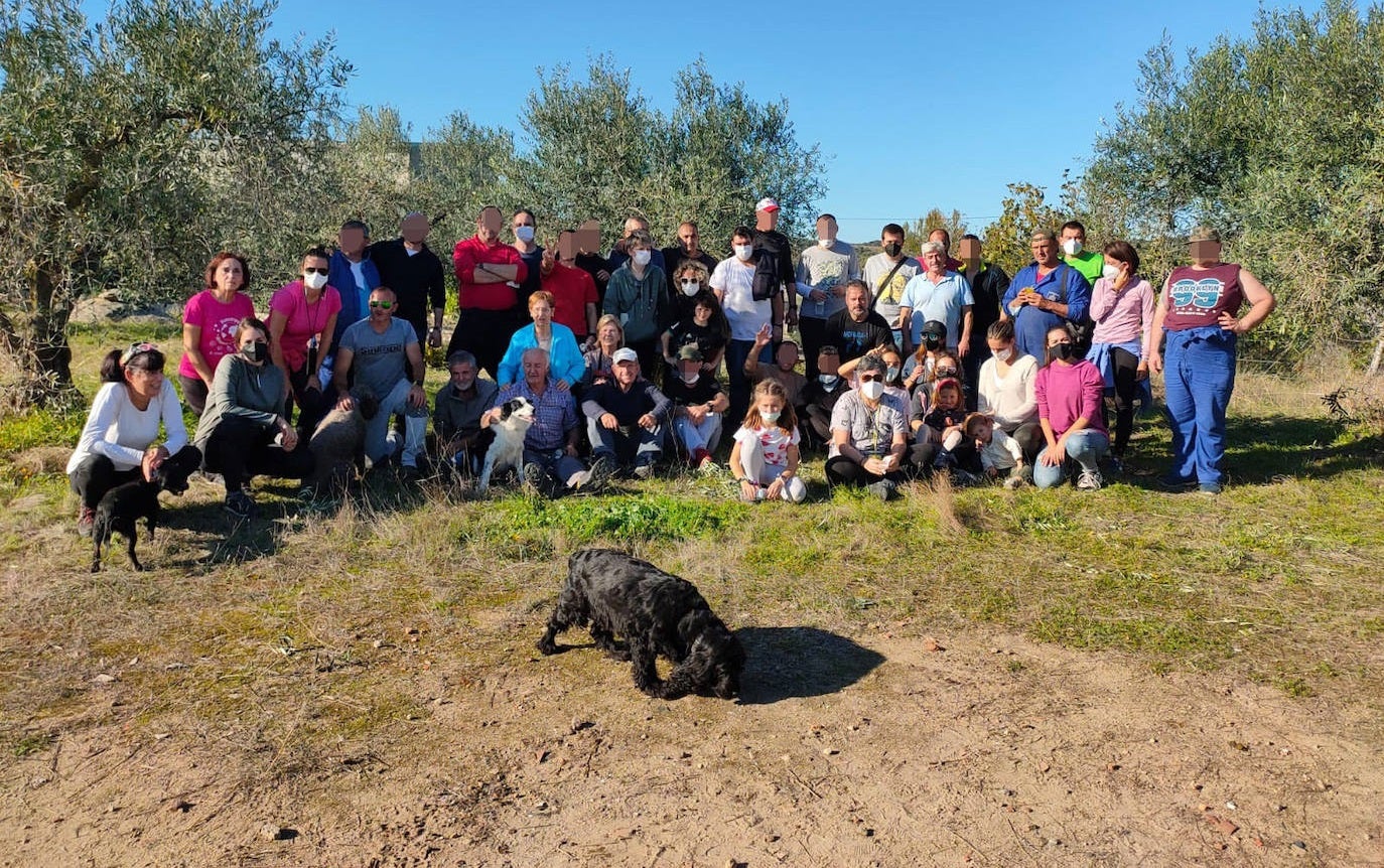 Jornada aceitunera entre los residentes, trabajadores y voluntarios 