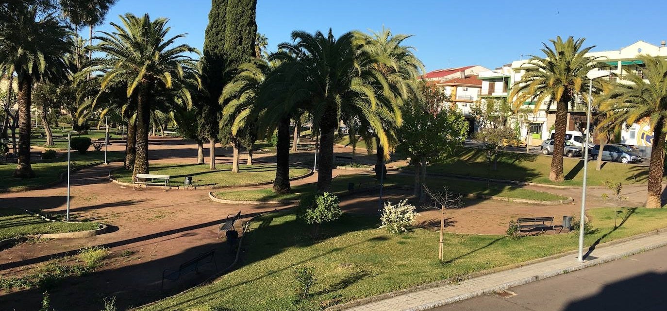Aplicación de tratamiento fitosanitario para controlar las plagas de Picudo Rojo en las palmeras