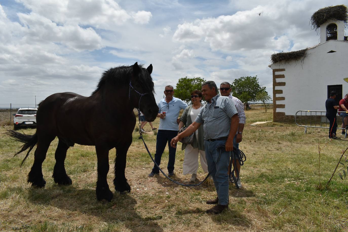 La alegría de la romería de San Isidro volvió a Miajadas este 15 de mayo en todo su esplendor. El Santo estuvo, los miajadeños estuvieron, los caballos estuvieron,... y no faltó de nada. Hubo procesión, misa, peregrinación ecuestre con la asociación miajadeña 'La Garrocha', concurso de tortilla de patatas, y, sobre todo, un día de campo y convivencia entre familia y amigos. El tiempo acompañó, y ya se echaba de menos después de dos años de ausencia. Así lo demostraron todos. 