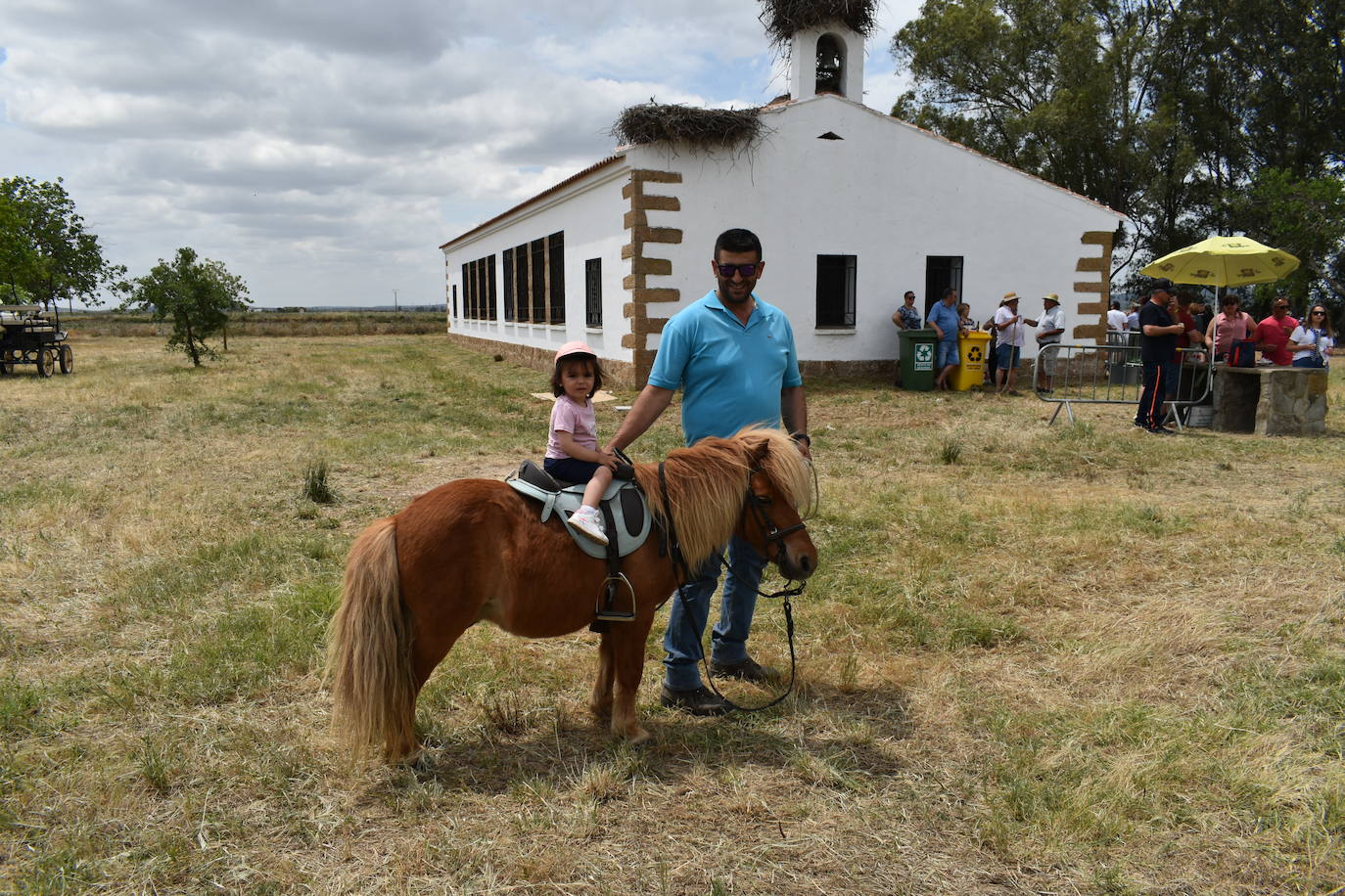 La alegría de la romería de San Isidro volvió a Miajadas este 15 de mayo en todo su esplendor. El Santo estuvo, los miajadeños estuvieron, los caballos estuvieron,... y no faltó de nada. Hubo procesión, misa, peregrinación ecuestre con la asociación miajadeña 'La Garrocha', concurso de tortilla de patatas, y, sobre todo, un día de campo y convivencia entre familia y amigos. El tiempo acompañó, y ya se echaba de menos después de dos años de ausencia. Así lo demostraron todos. 