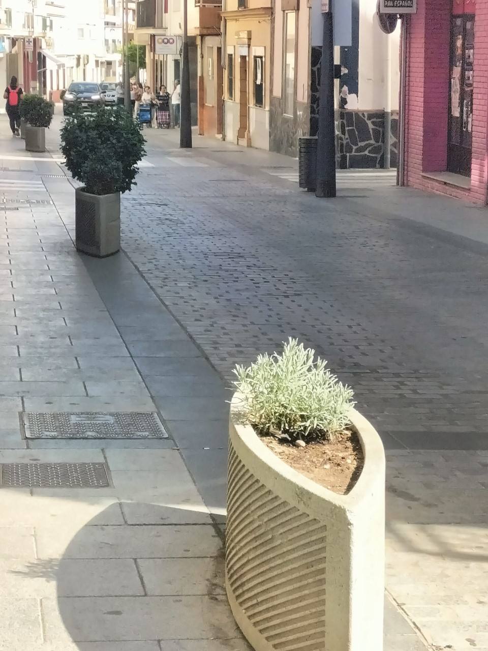 Maceteros de la Avenida Trujillo de Miajadas 