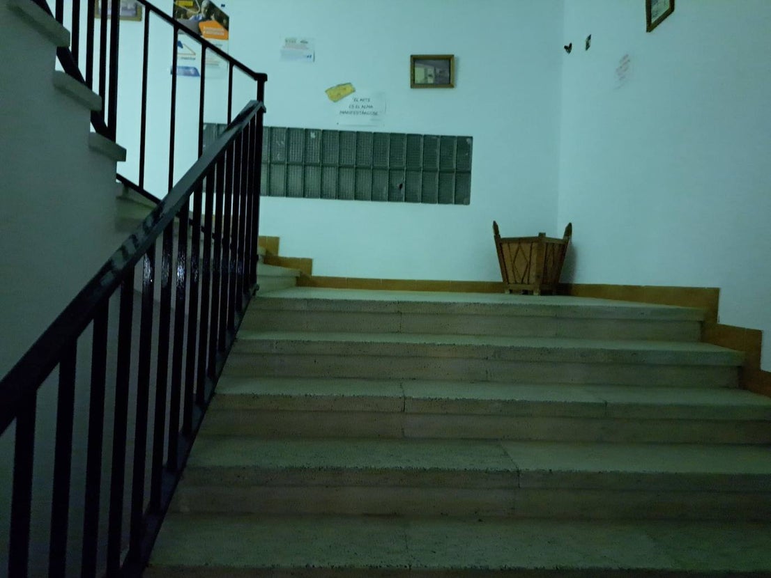 Gritos, sustos y pasos acelerados. Eso es lo que provocaba el pasaje del terror de este año en Miajadas. Más de cien componentes de la asociación Parque Pozo Vela se convirtieron en los personajes más terroríficos que te puedes encontrar en una facultad, desde el rector, el conserje y el guardia de seguridad, hasta profesores y alumnos zombies. Una facultad con todo detalle: aulas, residencia de estudiantes, almacenes, una capilla, incluso una discoteca. 