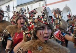 La Convivencia Carnavalera de Miajadas 2023 acogió un total de 12 comparsas de toda la región, que desfilaron por las calles de la localidad y despidieron el Carnaval como se merece. 'Los Legendarios', llegados desde Quintana de la Serena; 'La movida', procedentes de Gévora; 'Los caprichosos', también de Quintana de la Serena; 'Makumba', desde Barcarrota; los dombenitenses 'Achikitú'; 'Bakumba', de Alange; 'Los pirulfos', venidos de la localidad de Barbaño; 'Las monjas', de Torremejía; sus paisanos 'La pava and company'; 'Donde vamos la liamos', llegados de Olivenza; 'Los tukanes', también desde Alange; y la comparsa local 'Los Colegas', como cierre de desfile, pusieron Miajadas 'patas arriba'.