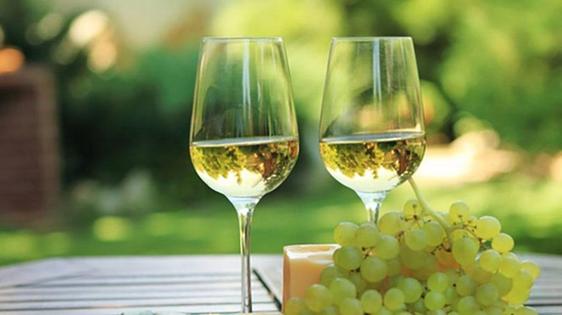 El Palacio Obispo Solís acogerá la cata de vinos y música 'Llegada de la primavera'