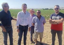 Alberto Núñez Feijóo durante su visita a una parcela agrícola de tomates en Miajadas