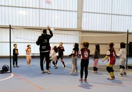 Categorías de voleibol de los pequeños entrenando en el pabellón Laguna Nueva