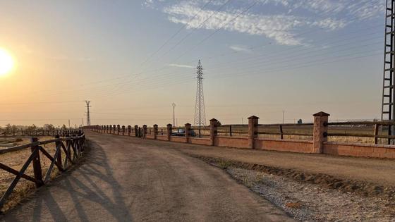 Finalizan los trabajos de restauración en la zona de paseo del Parque Mediterráneo