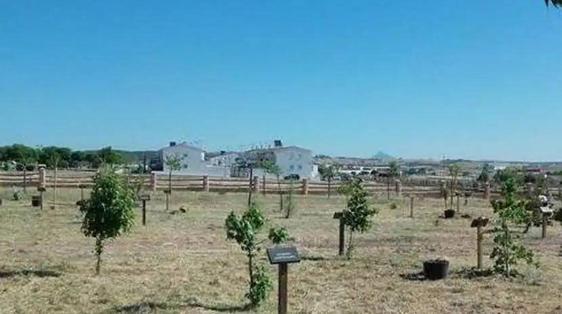 Las familias de los niños nacidos en 2022 plantarán los árboles de 'Crece conmigo'