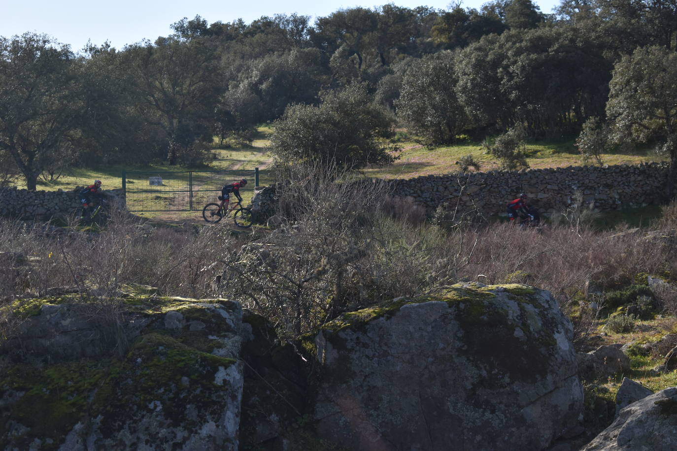 Miajadas volvió a convertirse un año más en punto referente del ciclismo con su famosa prueba Titán de los Ríos, congregando lo mejor del panorama nacional en un paraje natural incomparable. 