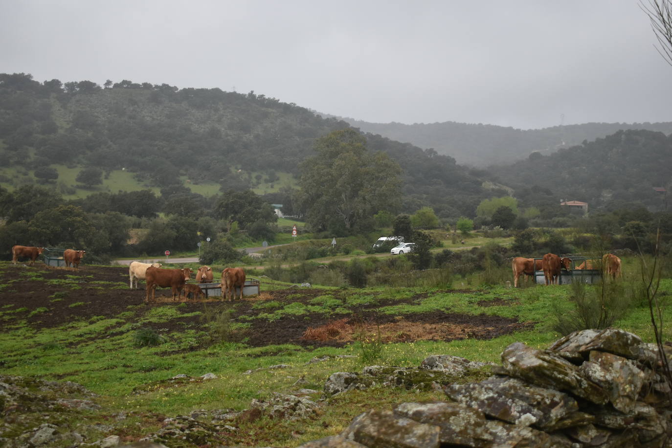 Fotos: Titán de los Ríos 2024