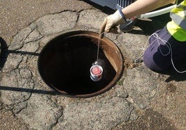 Tratamiento de desinsectación contra la población de cucarachas en la zona de 120-150 viviendas y calle Pilones
