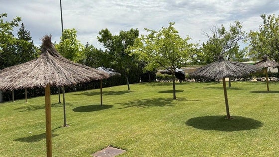 Deseando que llegue el calor y la apertura de la piscina de verano