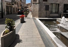 Los maceteros de la avenida Trujillo y calle Real lucen nuevas plantas de temporada