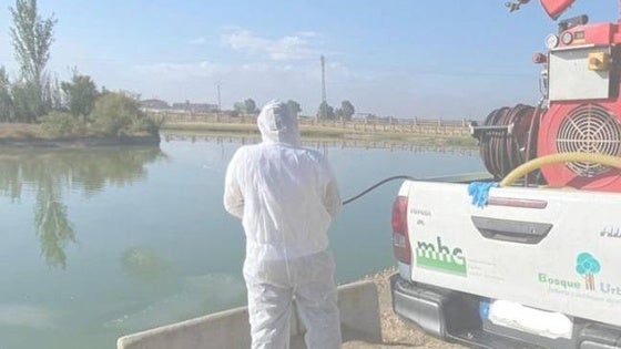 El Ayuntamiento destina 40.000 euros a controlar las plagas de mosquitos este verano