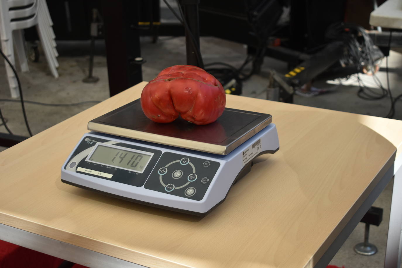 FOTOS: Concurso del tomate 2024