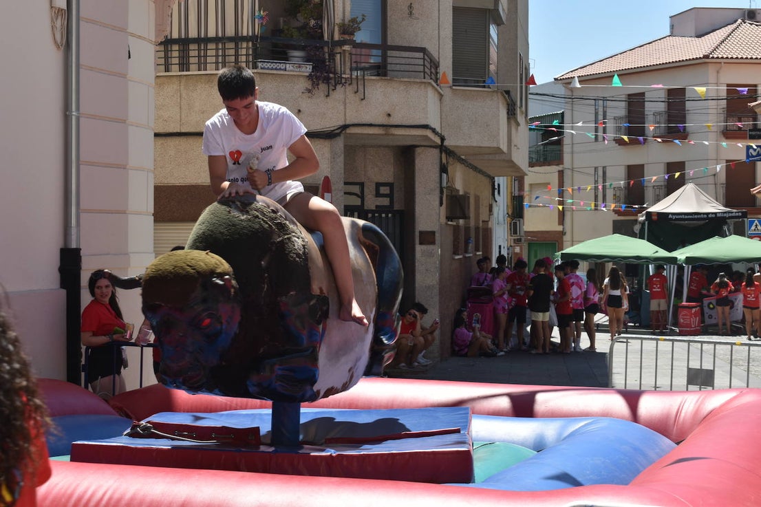 Fotos: Las peñas reinan en la Feria de día