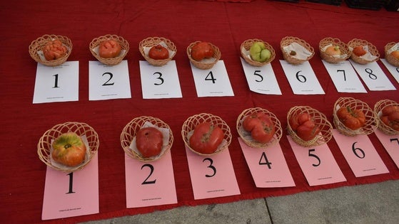 Desde la distancia: «Echo en falta en la feria un concurso gastronómico con el tomate como ingrediente principal»