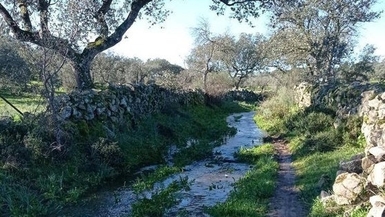 III Ruta de iniciación mountain bike por la Presa del Búrdalo