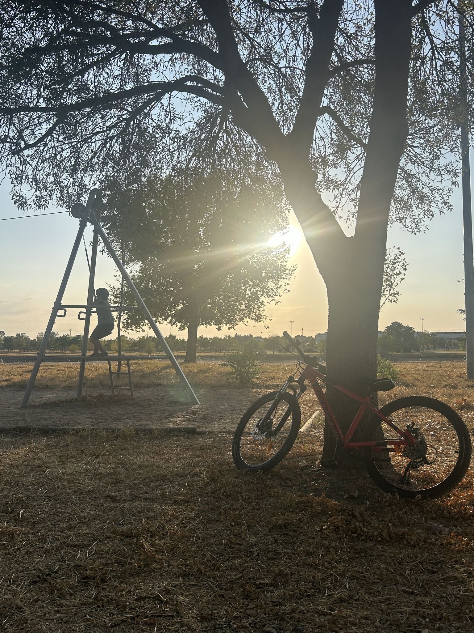 Fotos: VII Concurso fotográfico SEM