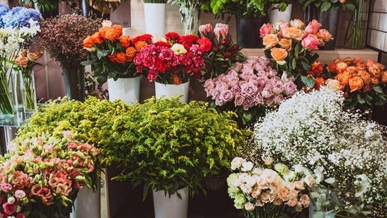 El Ayuntamiento recuerda que sólo podrán vender flores los establecimientos autorizados