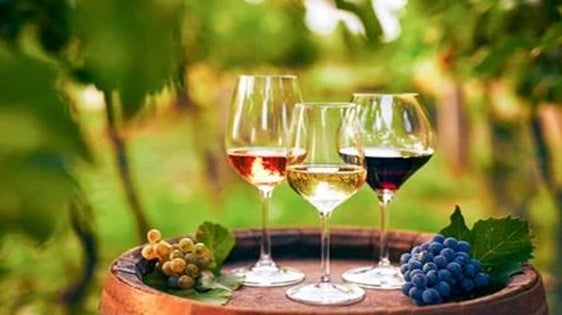 Adicomt organiza una nueva edición de elaboración y cata de vino y cerveza