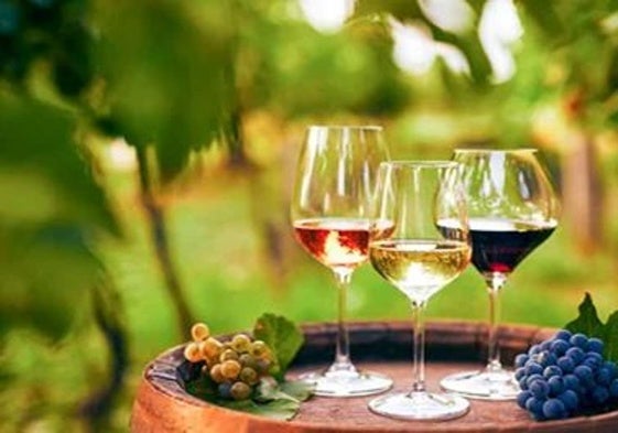 Adicomt organiza una nueva edición de elaboración y cata de vino y cerveza