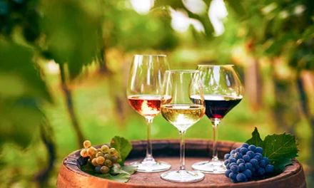 Adicomt organiza una nueva edición de elaboración y cata de vino y cerveza
