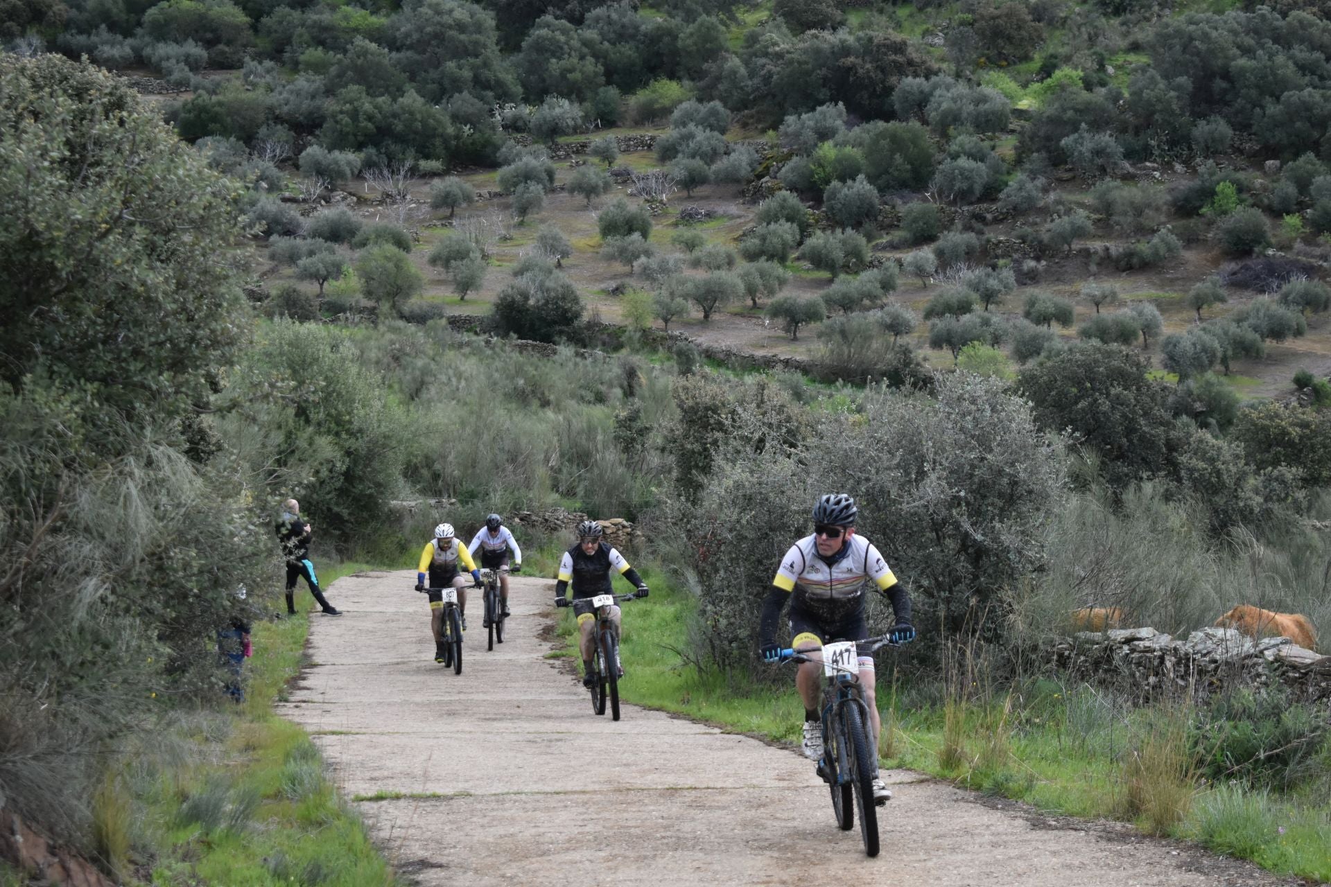 Fotos: Lo mejor del ciclismo en la Titán de los Ríos 2025