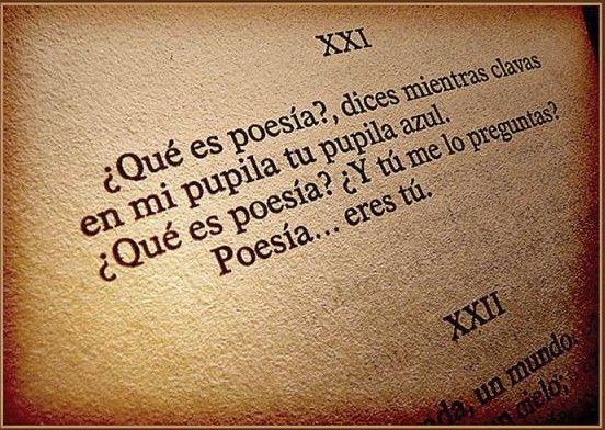 Día Mundial de la Poesía con 'Suelta de pájaros', ganadora del XIX Certamen de Poesía de Miajadas
