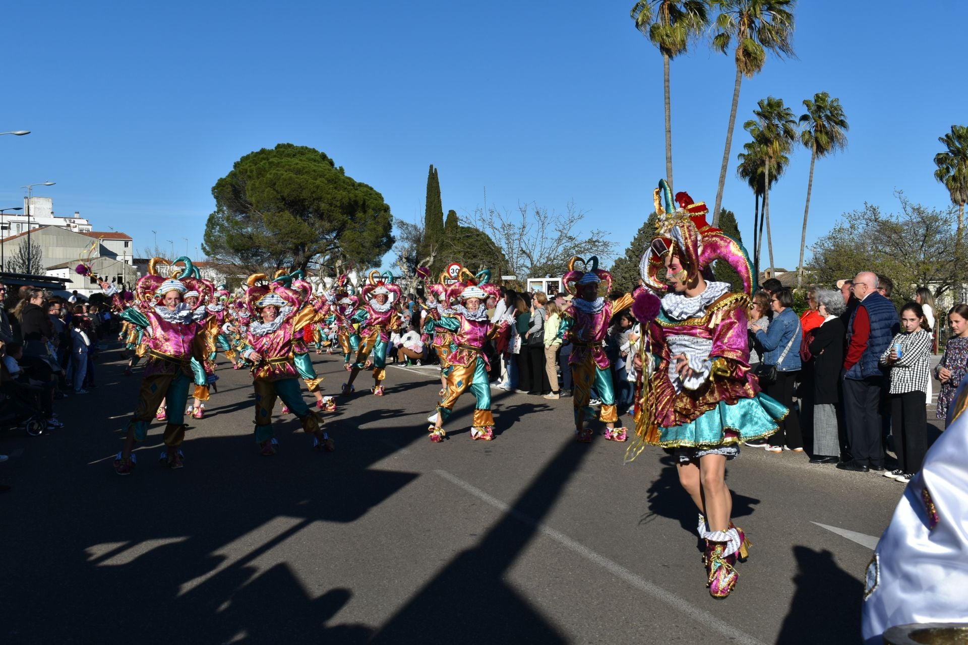 Fotos: 18 comparsas hicieron vibrar en la VI Convivencia Carnavalera de Miajadas