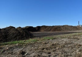 Montón de poda frutal triturada donde se originaron las llamas y el único afectado.