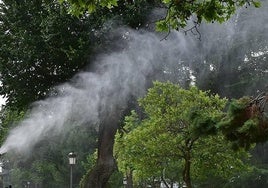 Arranca la aplicación del programa de control de mosquitos en Miajadas y pedanías