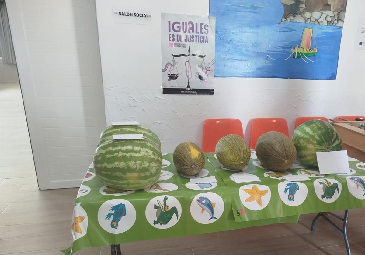 Imagen principal - Casar de Miajadas ha disfrutado de unas animadas Fiestas de Santiago