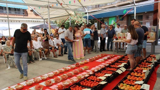 Un tomate de más de un kilo y medio ganó el XL Concurso del Tomate de Miajadas