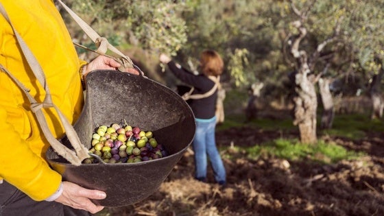 La Junta promociona las experiencias turísticas de las Rutas Gastronómicas a través de la creadora de contenidos 'Gastroviajera'