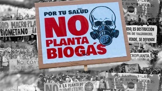 Sí, pero no en mi jardín