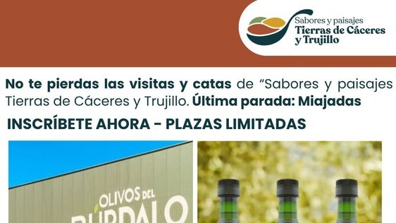 Miajadas cierra el ciclo 'Sabores y paisajes Tierras de Cáceres y Trujillo' con una visita y cata en Olivos del Búrdalo
