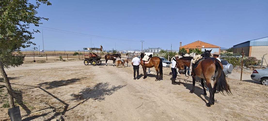 Miajadas celebra el 20º aniversario de su emblemática Concentración Ecuestre