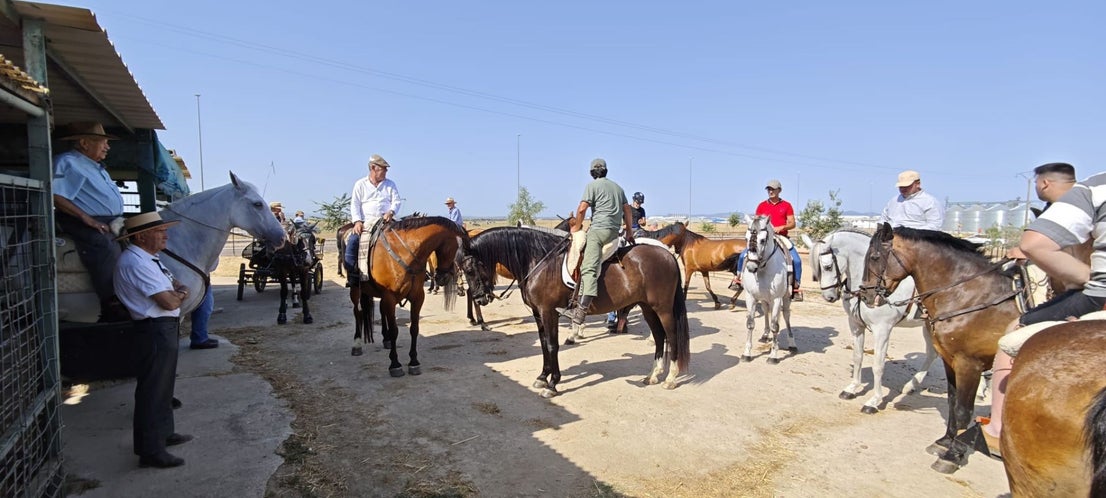 Miajadas celebra el 20º aniversario de su emblemática Concentración Ecuestre