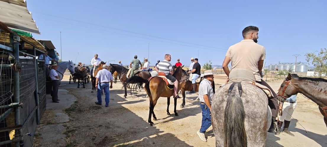 Miajadas celebra el 20º aniversario de su emblemática Concentración Ecuestre