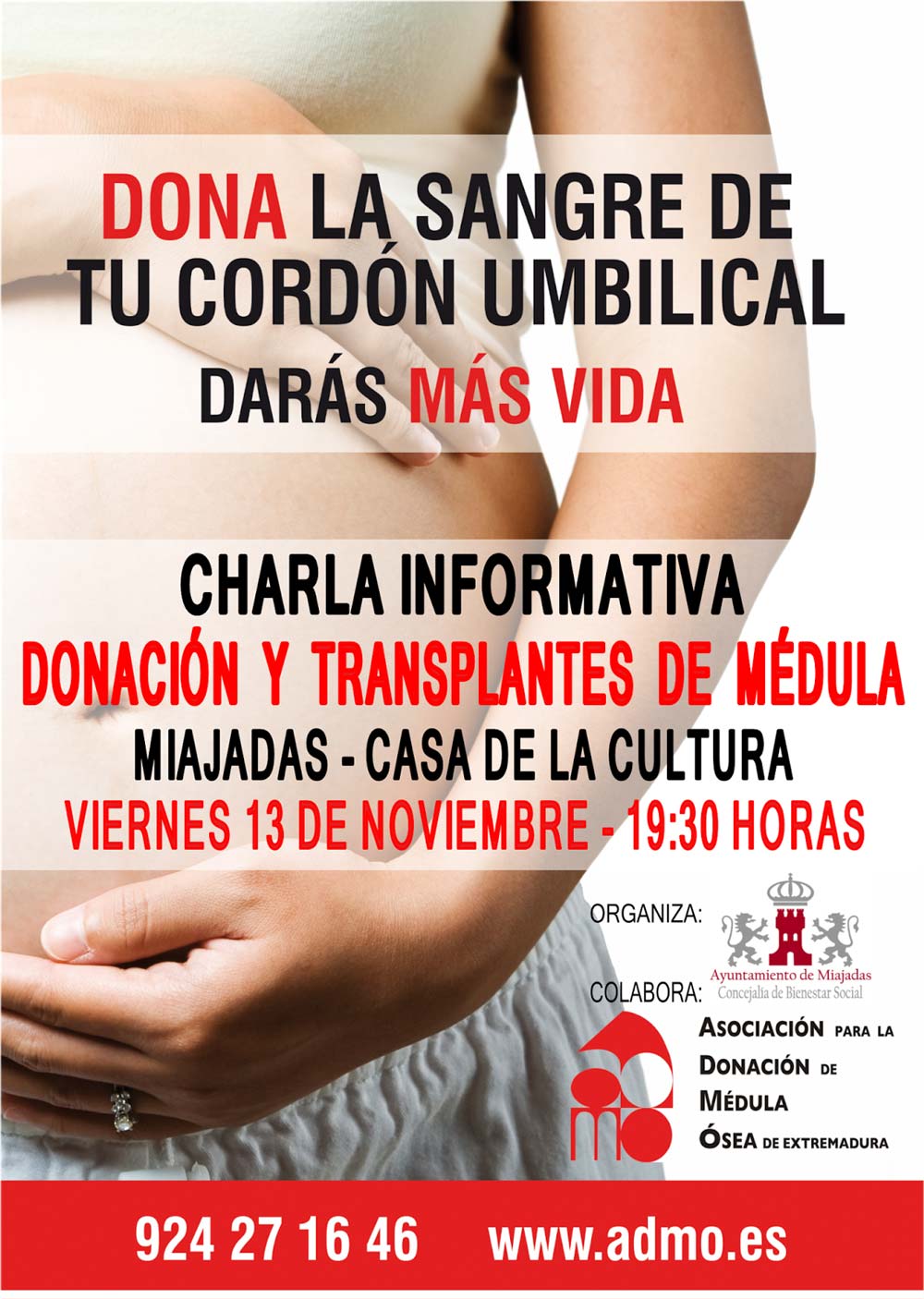 Cartel de la actividad