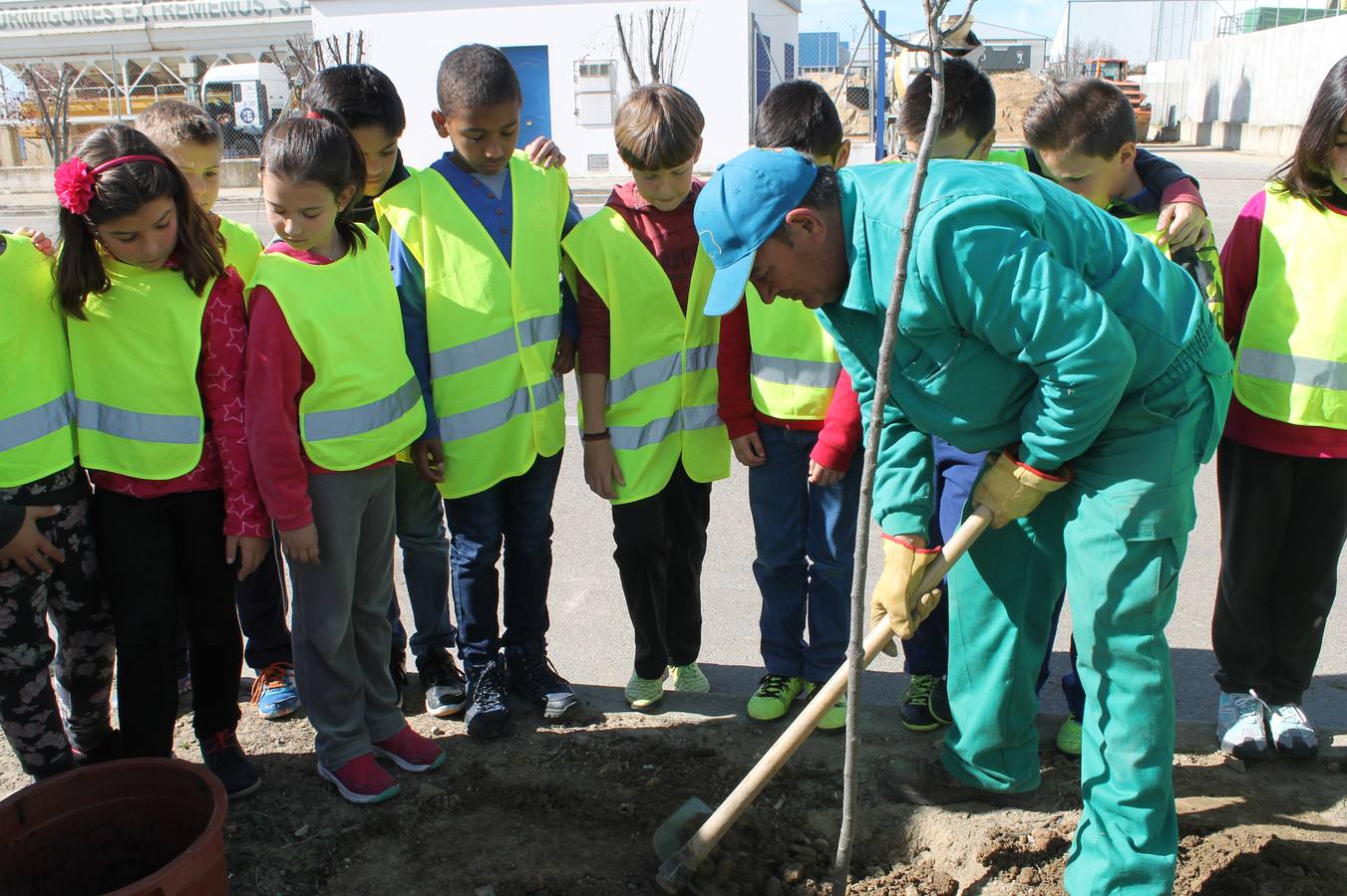Alumnos contemplando la plantación de uno de los jardineros. 