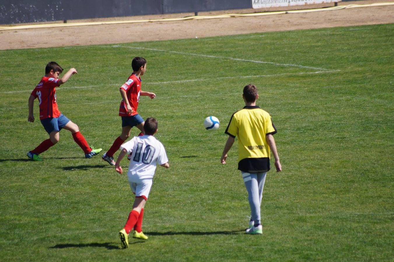 Imagen de archivo. 