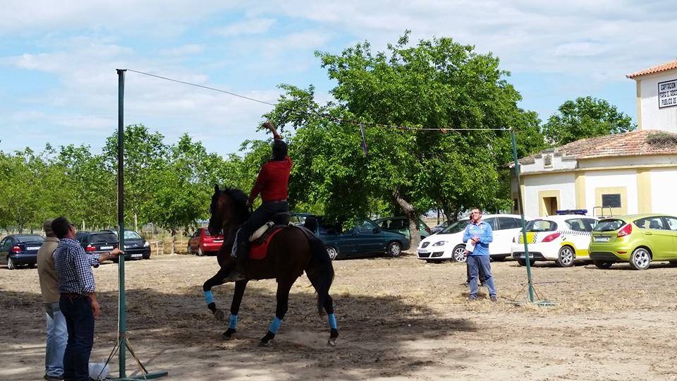 Carrera de cintas con caballos de la romería. 