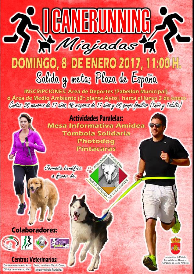 Cartel de la carrera solidaria. 