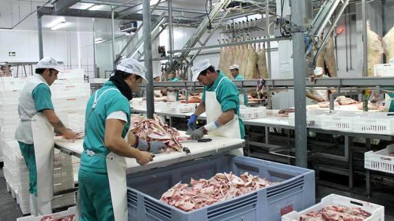 Trabajo en una sala de despiece 