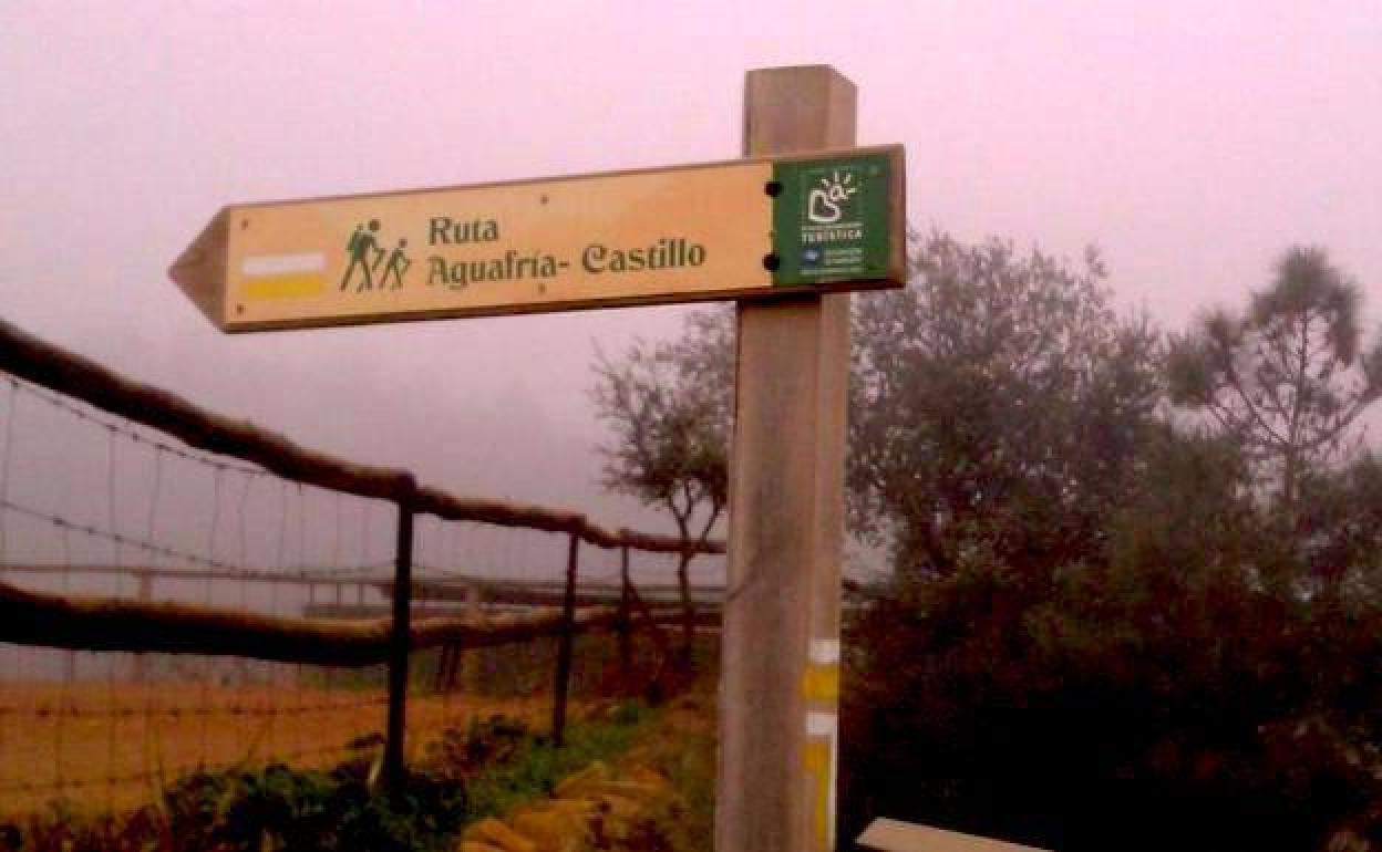 Ruta botánica por Monesterio para celebrar el Día Mundial del Medio Ambiente con Cúriga