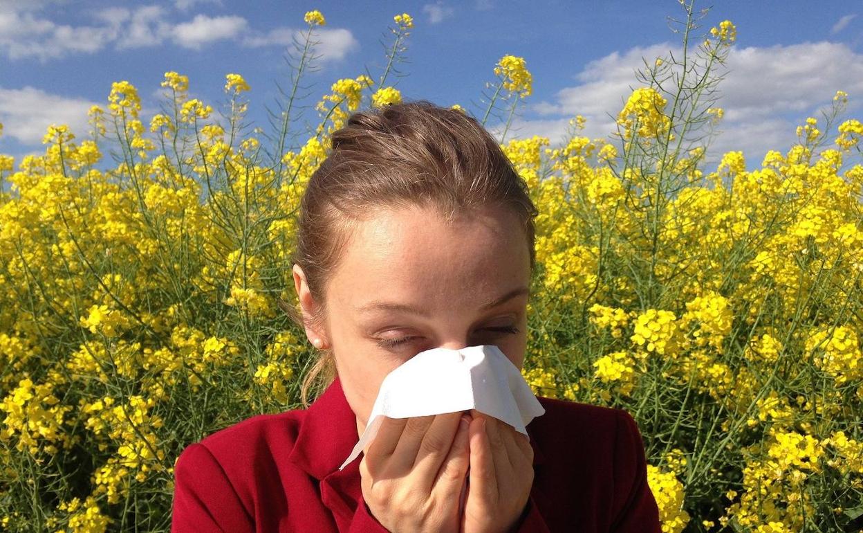 Una persona estornuda a causa de la alergia 