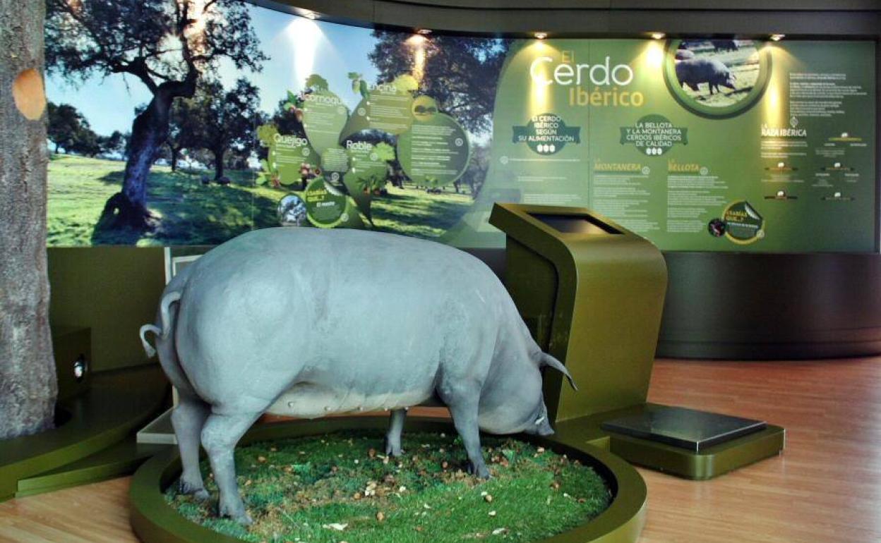 Interior del Museo del Jamón de Monesterio 